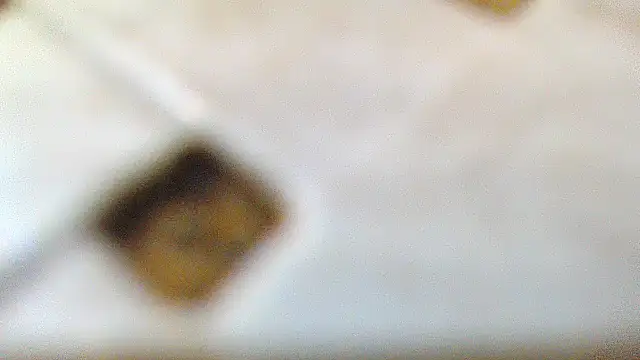 womancute webcam