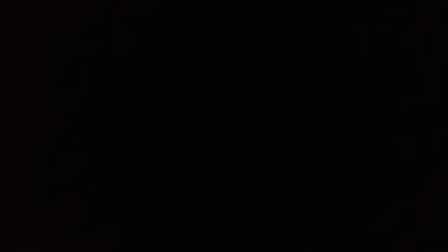 TrevorSteele webcam