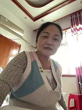 hannzn webcam