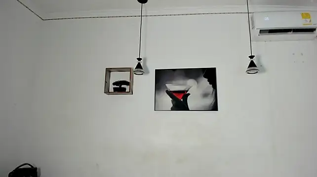 Sophiagiraldo webcam