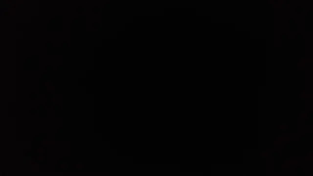 TrevorSteele
