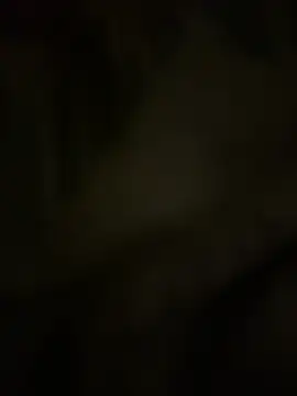 kkkoo008