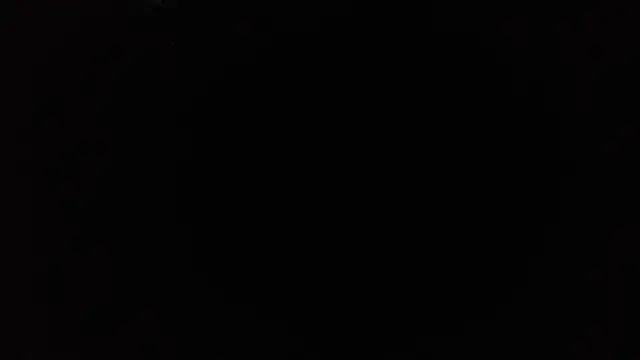 TrevorSteele webcam