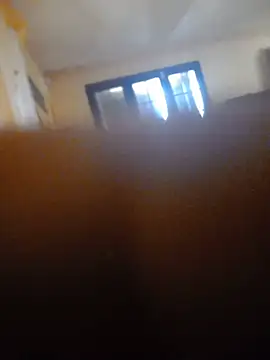 joannes69