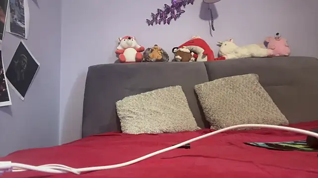 Oksi494 webcam