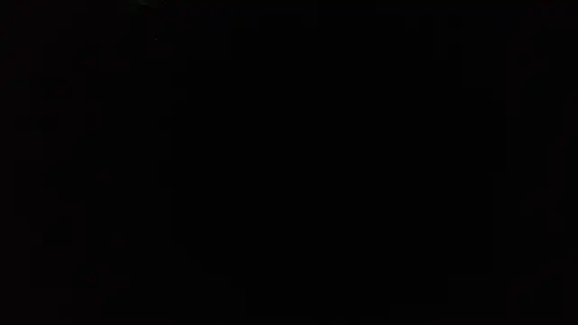 TrevorSteele webcam