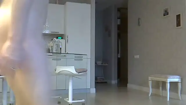 ZarinaSwift webcam