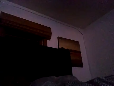 Blkstylion webcam