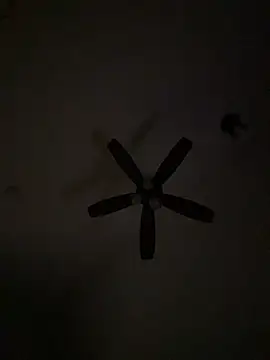 bigdickbigass69 live cam on StripChat