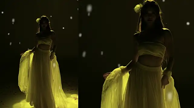 TNT-cdc webcam