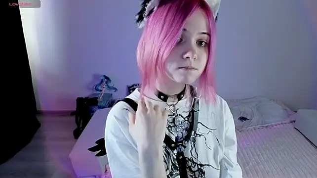 Hikkacat webcam