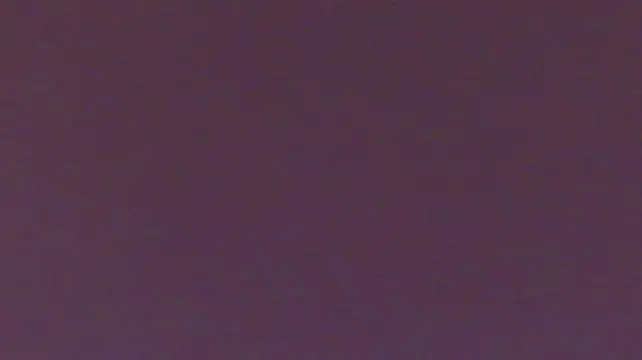 LaceyDover webcam