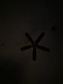 bigdickbigass69 live cam preview