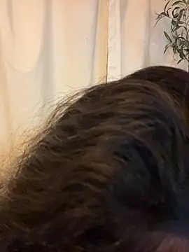 Andy__Nova webcam