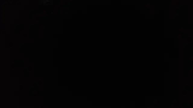 TrevorSteele webcam