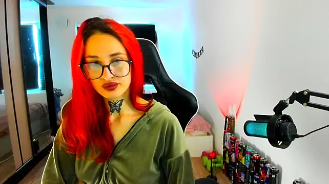 your_tora webcam