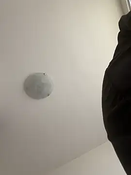 kotkite webcam