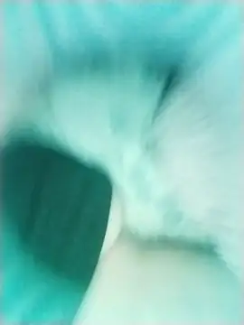 lamasrica20 webcam