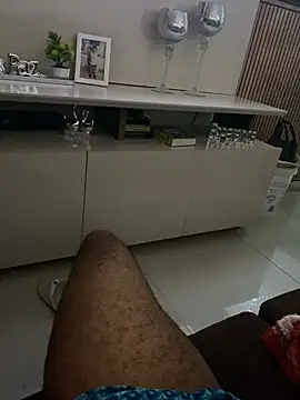 hudson19cm webcam