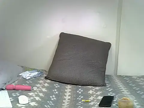 HomeNurse webcam