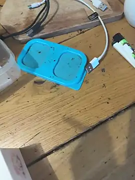 seikommz91 webcam