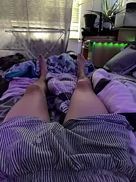 Toyjungee webcam