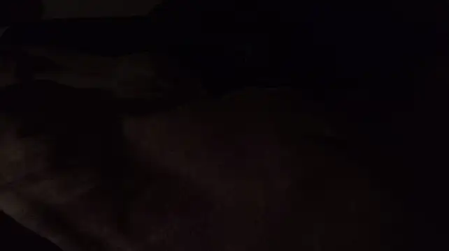 Kitrider webcam