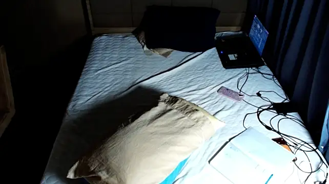 baphomet_from_ice webcam