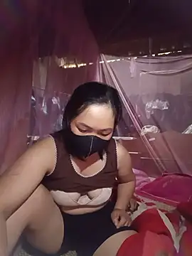 Hiha-nn webcam