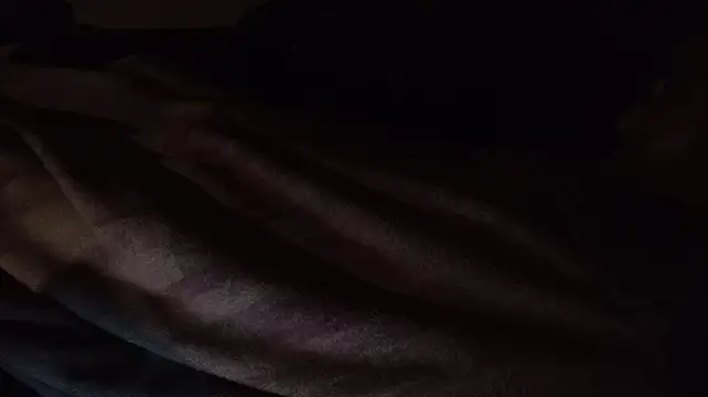 Kitrider webcam