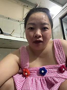 Senkolive webcam