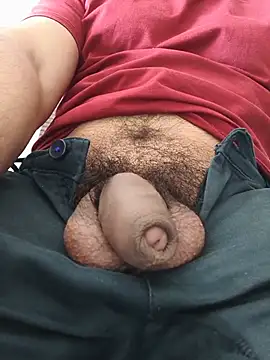 8inch_hunk19 webcam
