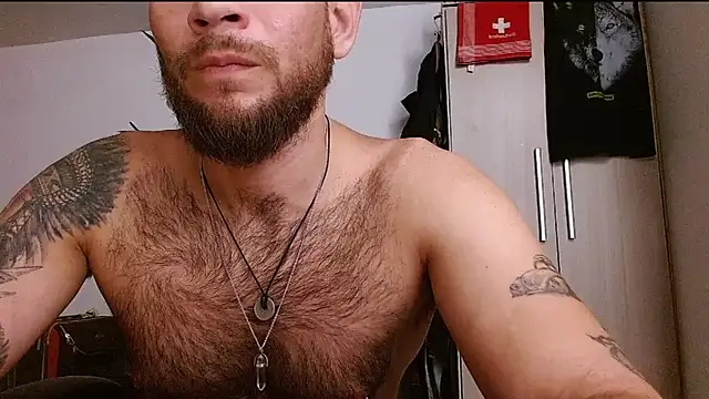 DominanThewolff webcam