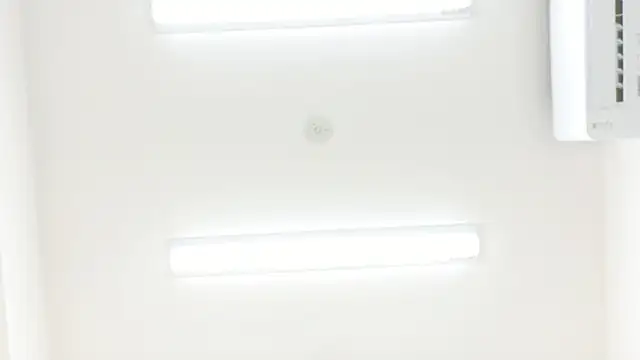raichan__ webcam