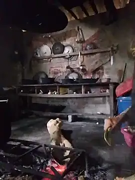 BaoHan22 live cam preview