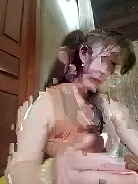 -Nibi- webcam