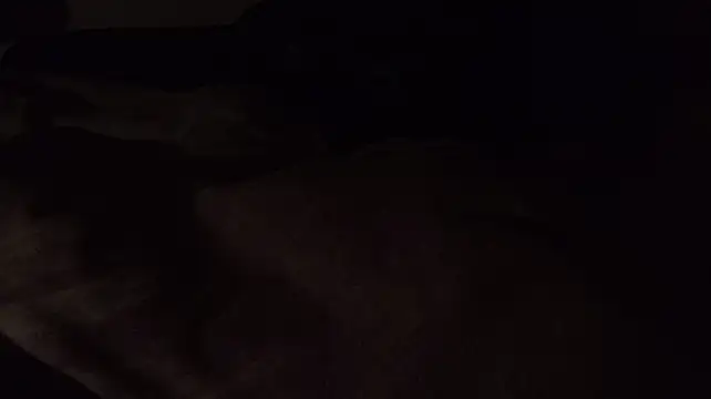 Kitrider live cam preview