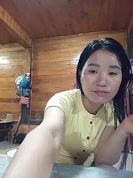 Td3di webcam