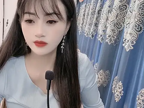 sjsibi webcam