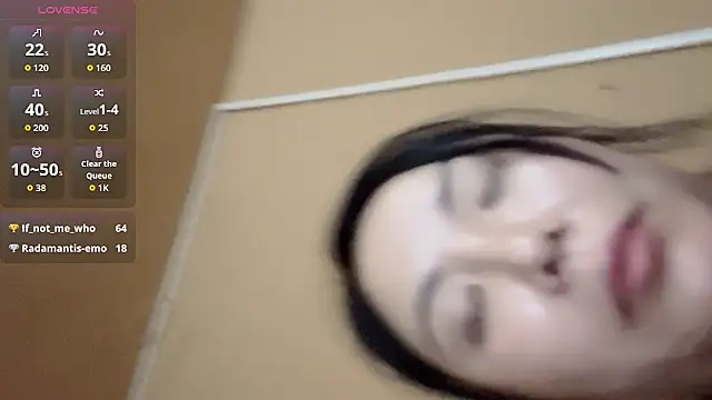 ADA-Sina
