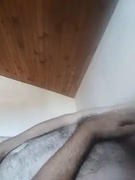AIDIl63 webcam