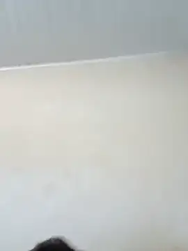 Fabiosev webcam
