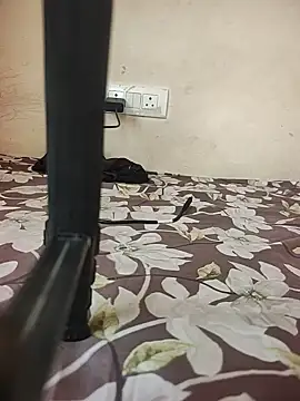 mayur127b webcam