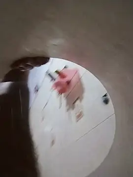 hairy_gun webcam