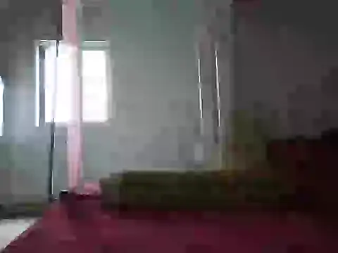Zika_29 webcam