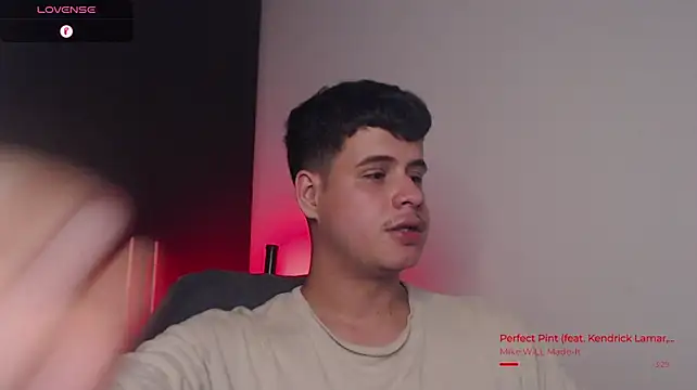 BjornSteel webcam