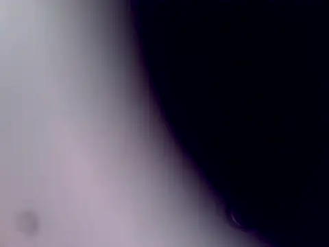 ArcticRubber1989