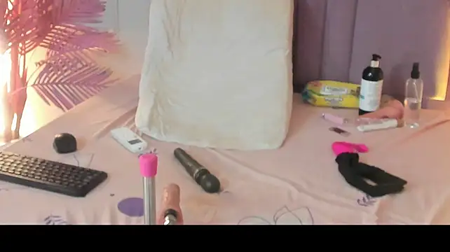 Nalapalmer webcam