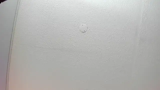 Brigitt_Evans webcam