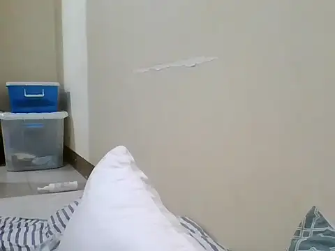Elleisla webcam